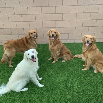 Big Bully Turf - Landscaping Near Me - Henderson, Nevada