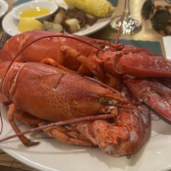 Cronin's Publick House - Double lobster special - Pubs Near Me - Quincy, Massachusetts Cronin's Publick House - Double lobster special - Pubs Near Me - Quincy, Massachusetts