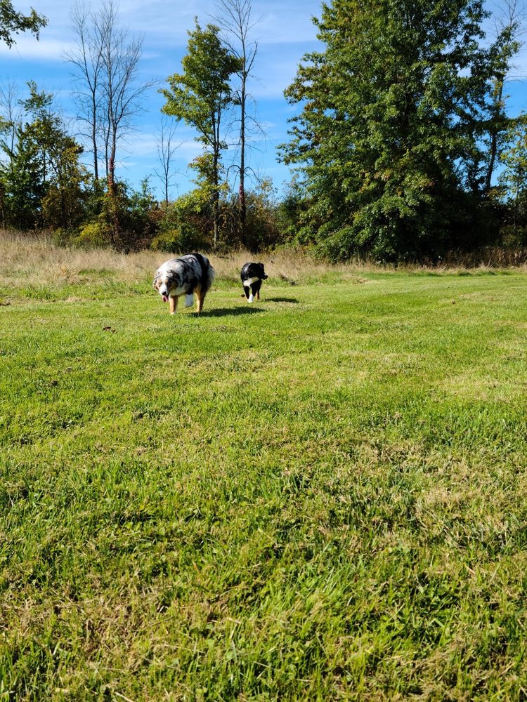 STARSTRUCK RANCH Updated September 2024 11 Photos 8845 Wolcott Rd