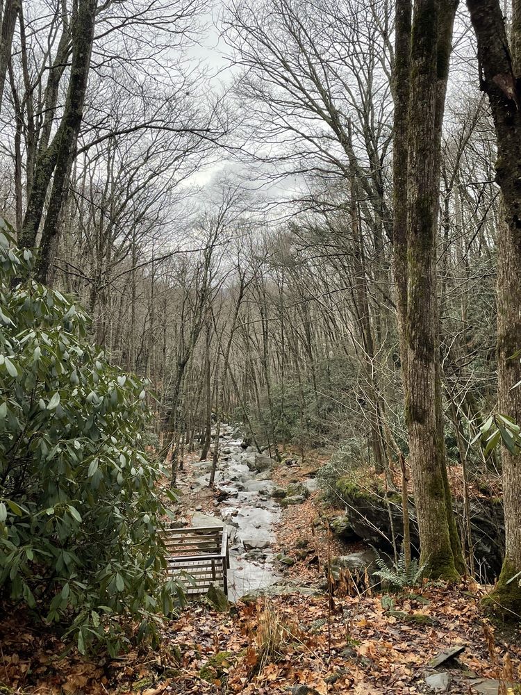 Social spots from Otter Falls