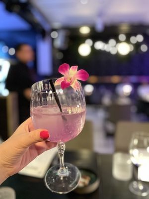 The Mayflower Club by null