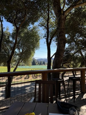 Lester Estate Wines by null