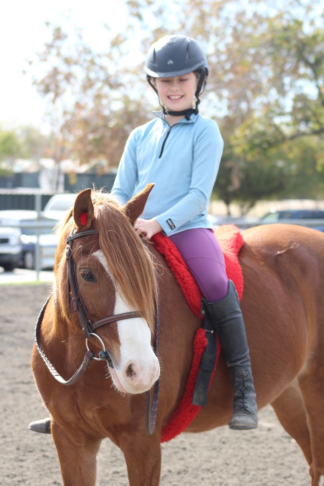 EDMONTON FARMS Updated September 2024 20 Photos 1127 Orcas Ave