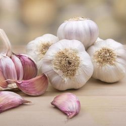 Bitarco Produce - Garlic