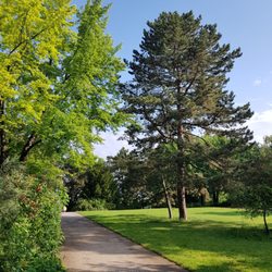 Stadtpark