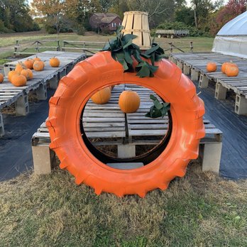 Wade's Vegetables - Now that's my kind of Donut!  Oh wait, I broke a tooth taking a bite. - Farmers Market Near Me - Bloomfield, Connecticut