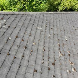 Clarity Exterior Home Services