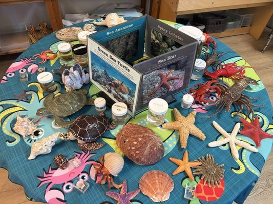 Fun activities for all - Fun and creative activities to enrich the mind Fun activities for all - Fun and creative activities to enrich the mind