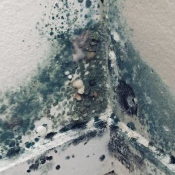 Mariners Glen Apartment Homes - Bedroom mold, bad window insulation. - Apartments Near Me - Port Orchard, Washington Mariners Glen Apartment Homes - Bedroom mold, bad window insulation. - Apartments Near Me - Port Orchard, Washington