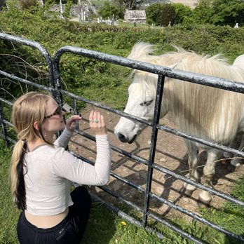 Ardmore Round Tower - Mysterious blind horse - Landmarks & Historical Buildings Near Me - Ardmore, WD