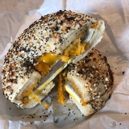 Toasted Everything Bagel