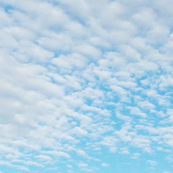 Blue Sky Testing Labs - Blue Sky Testing Labs -- Indoor Air Quality Investigations - Environmental Testing Near Me - Seattle, Washington Blue Sky Testing Labs - Blue Sky Testing Labs -- Indoor Air Quality Investigations - Environmental Testing Near Me - Seattle, Washington