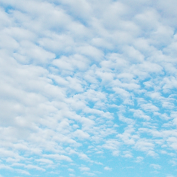 Blue Sky Testing Labs - Blue Sky Testing Labs -- Indoor Air Quality Investigations