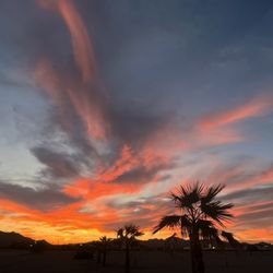 Rice Ranch RV Park - No place does sunsets like Quartzsite! Come enjoy our million-dollar views at Rice Ranch RV Park.