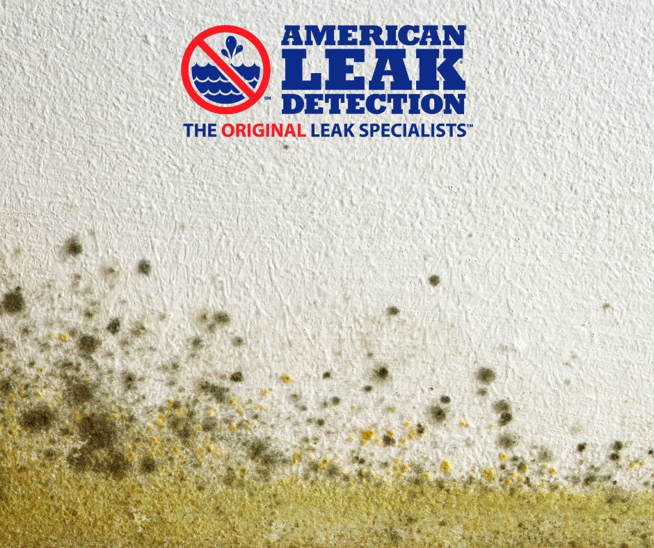 Slide of American Leak Detection - Youngstown
