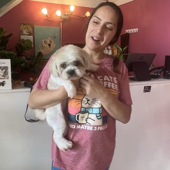 Kawaii Furry Tails - Sarah our groomer extraordinaire with Bindi - Pet Groomers Near Me - Kapaʻa, Hawaii
