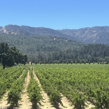 HALL Wines - Hall vineyard - Wineries Near Me - Saint Helena, California HALL Wines - Hall vineyard - Wineries Near Me - Saint Helena, California