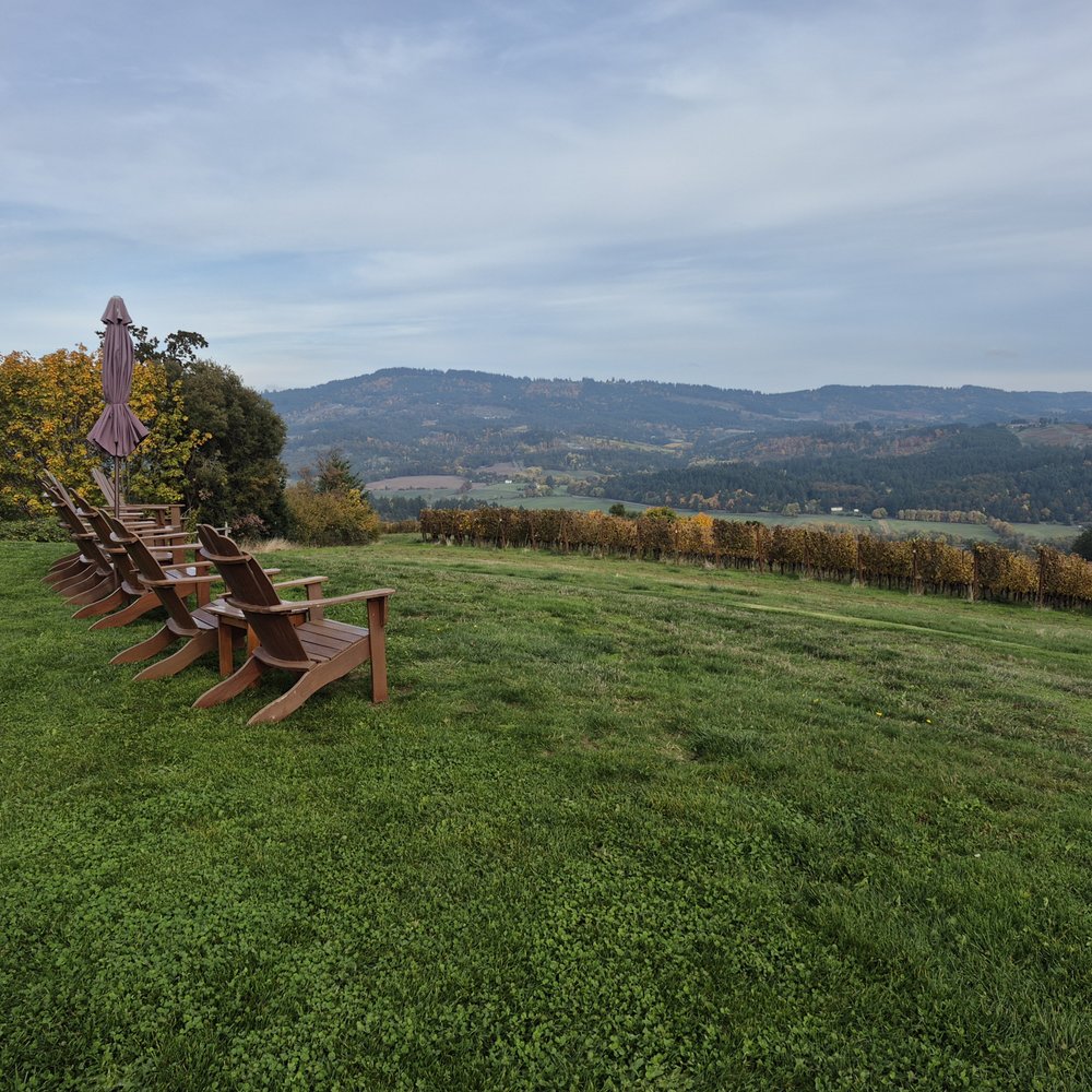 Fairsing Vineyard - Wine Tasting Room Near Me - Yamhill, Oregon Fairsing Vineyard - Wine Tasting Room Near Me - Yamhill, Oregon