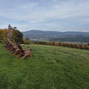 Fairsing Vineyard - Wine Tasting Room Near Me - Yamhill, Oregon Fairsing Vineyard - Wine Tasting Room Near Me - Yamhill, Oregon