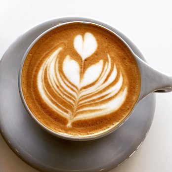 The Yellow Cup - Flat white - Coffee & Tea Near Me - Houston, Texas The Yellow Cup - Flat white - Coffee & Tea Near Me - Houston, Texas