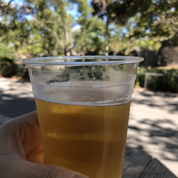Zoo Miami - Enjoying a Bud Light after the Giraffe Feeding - Zoos Near Me - Miami, Florida