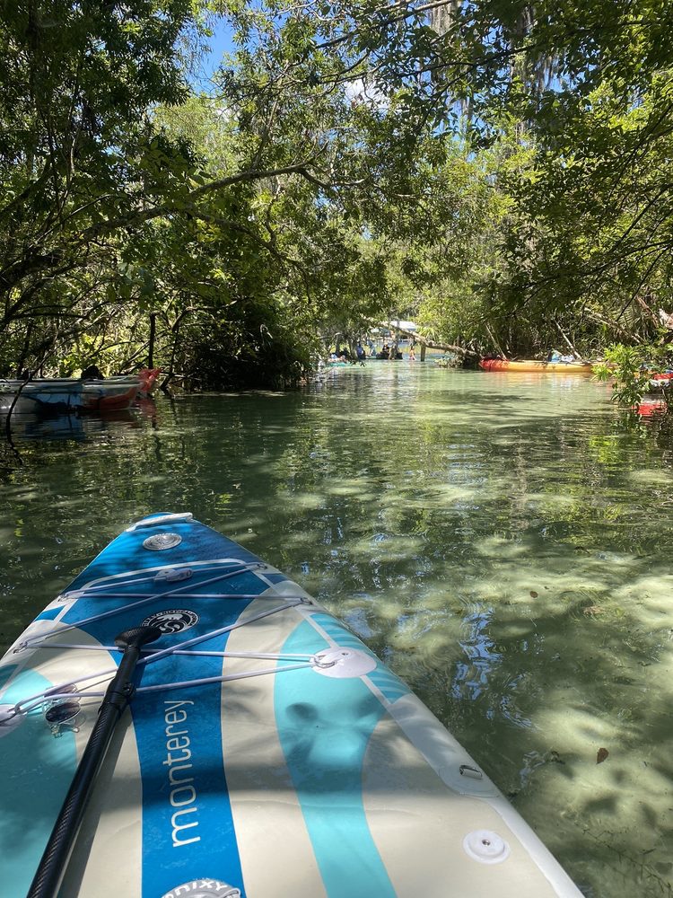 Rainbow Springs Image