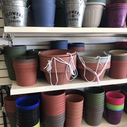 Flower Pots