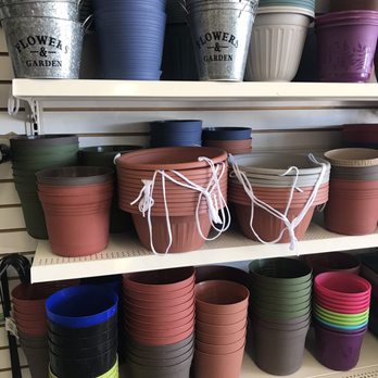 Dollar Tree - Flower Pots - Discount Store Near Me - Ballwin, Missouri