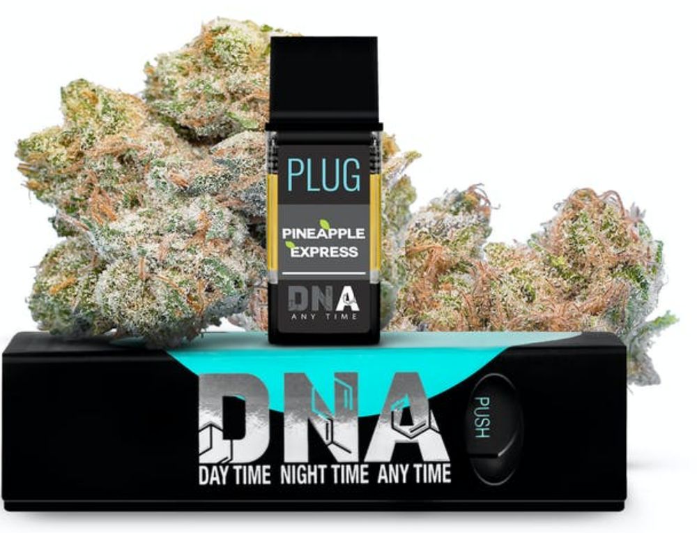 ELECTRIC CIRCUS Updated September 2024 41 Photos 34112 Doheny