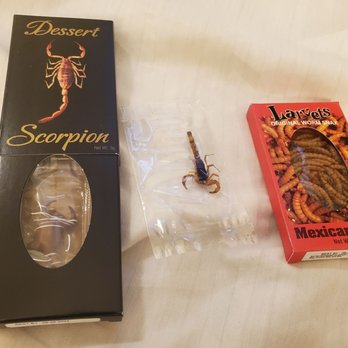 Candy Heaven - Scorpions and larvets - Candy Stores Near Me - Sacramento, California Candy Heaven - Scorpions and larvets - Candy Stores Near Me - Sacramento, California