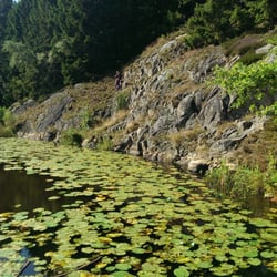 Rø Plantage vandretur