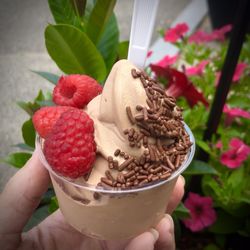 Mmmmm...Chocolate Malt