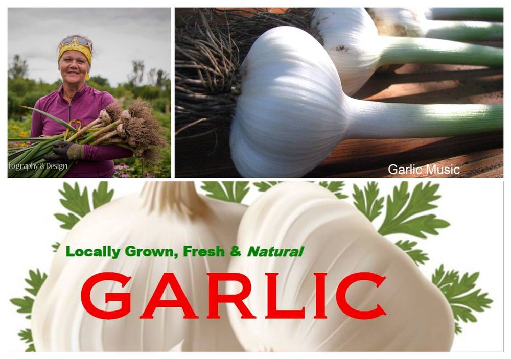 RED WING FARMERS MARKET Farmers Market Red Wing, MN Phone Number