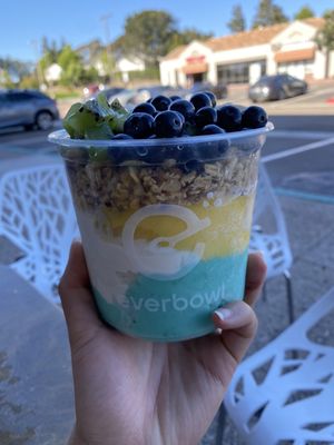 everbowl by null