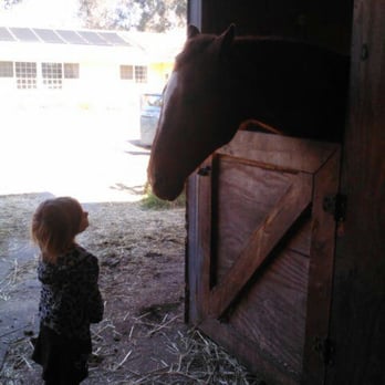 Hillside Training Stables - Horseback Riding Near Me - Orangevale, California Hillside Training Stables - Horseback Riding Near Me - Orangevale, California