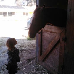 Hillside Training Stables