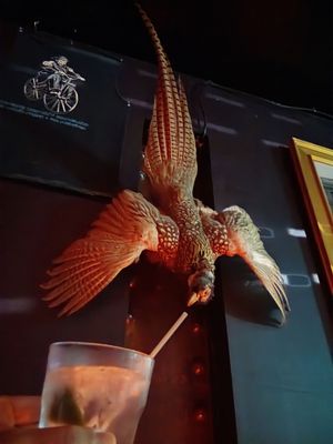 Emperor Norton's BoozeLand by null