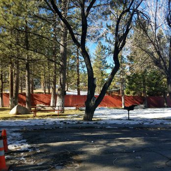Big Bear Frontier - Area outside of the cabin - Hotels Near Me - Big Bear Lake, California