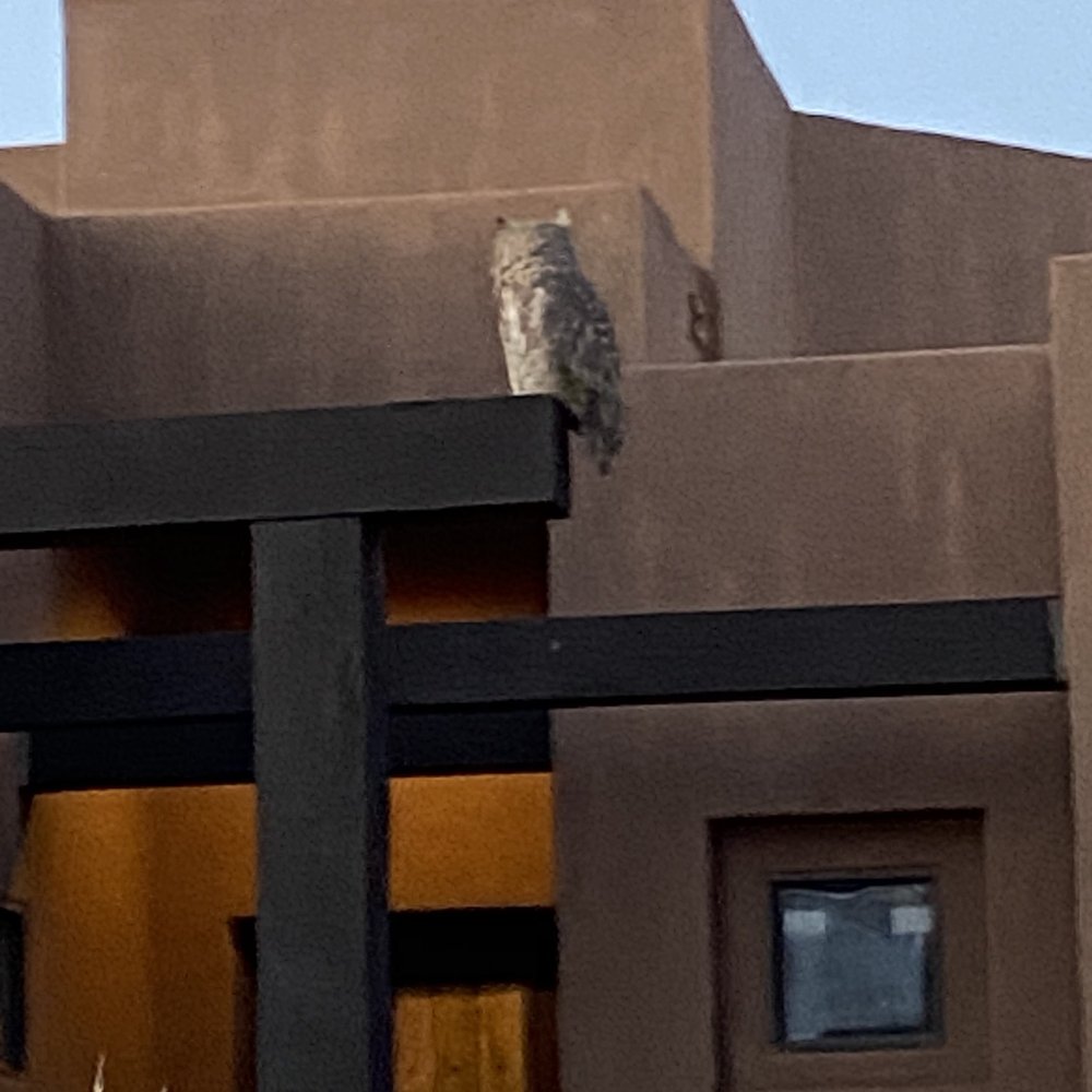 Sand Hollow Resort - Real owl - Resorts Near Me - Hurricane, Utah Sand Hollow Resort - Real owl - Resorts Near Me - Hurricane, Utah