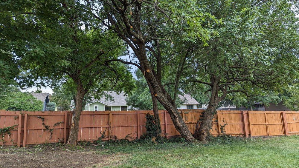 Complete Tree Care & Landscaping - tree service in Wichita, KS