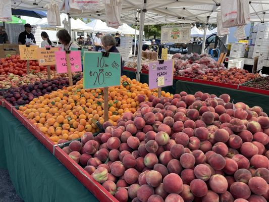 Newark Farmers Market by null