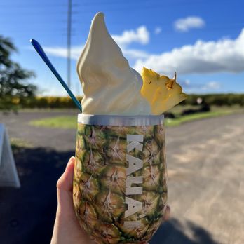Pineapple In Paradise - Food Trucks Near Me