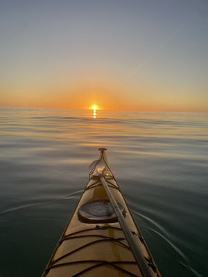 Happy Paddler Kayak Tours & EcoVentures by null