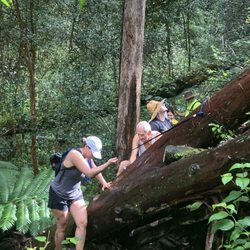 Wahiawa Hills Trail
