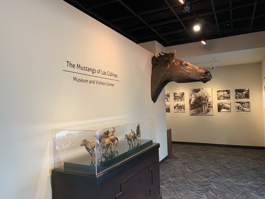 The Mustangs of Las Colinas Sculpture and Museum and Visitors Center by null