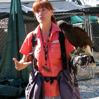 West Coast Falconry - Specialty Schools Near Me - Marysville, California West Coast Falconry - Specialty Schools Near Me - Marysville, California