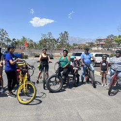 Pedego Electric Bikes Upland