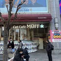 Yodobashi Camera Multi Media Akiba Gift & Greeting Cards - Email