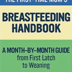 The Land of Milk and Mommy - The First-Time Mom's Breastfeeding Handbook by Chrisie Rosenthal IBCLC, PMH-C