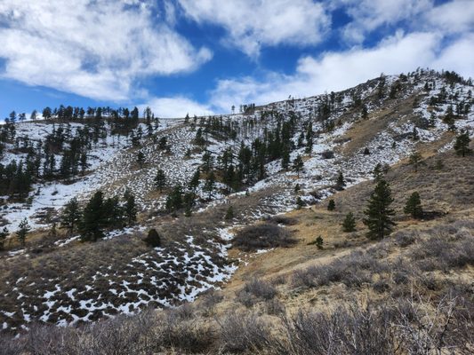 Lory State Park by null